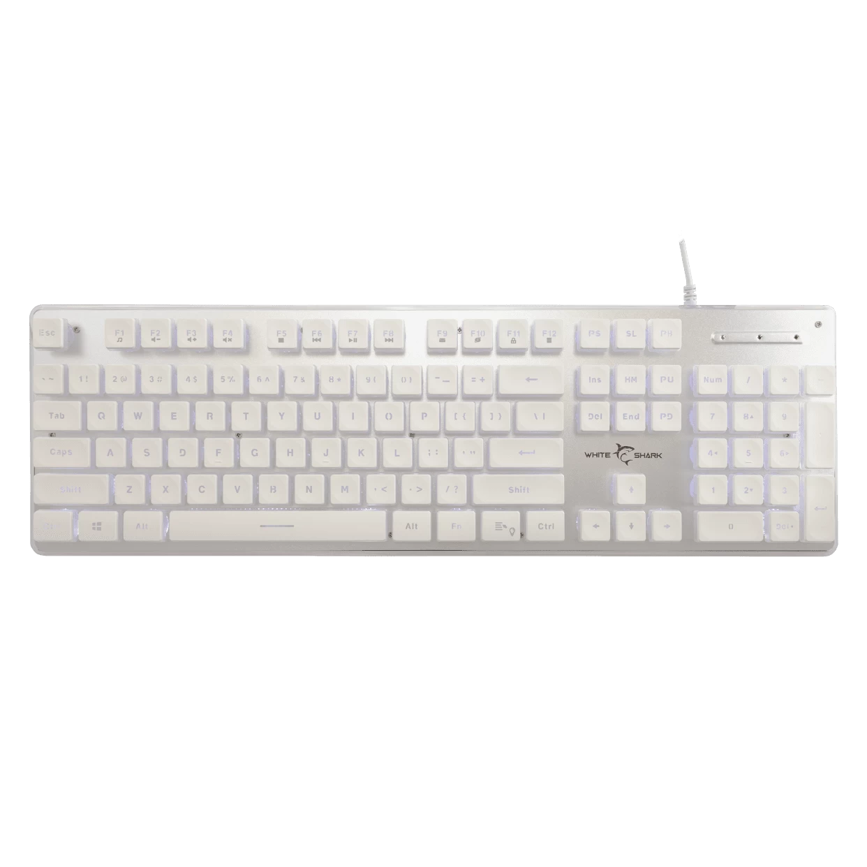 White Shark Tastiere Gaming TACHI e bardhë-US