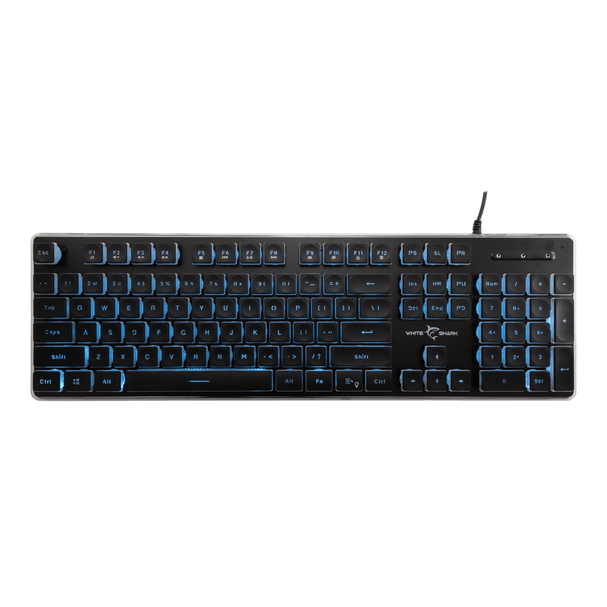 White Shark Tastiere Gaming TACHI e zezë-US